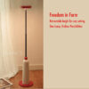 Frisbee Lamp – Minimalist Adjustable Desk & Floor Lamp
