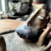 ZenSmoker Resin Incense Burner